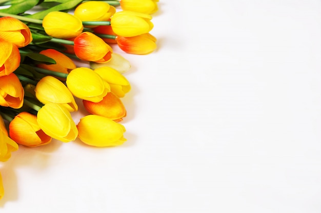 Tulpen auf einem weißen