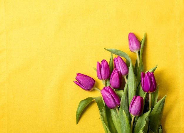 Tulpen auf gelbem Kleiderhintergrund, Frühlingskonzept