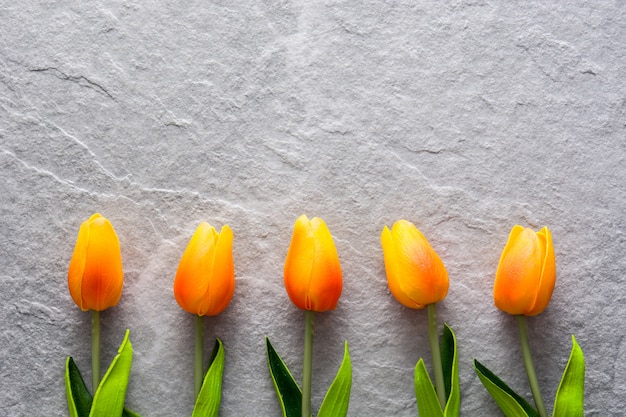 Tulpen auf grauem Stein Copyspace