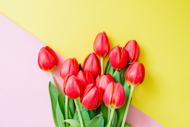 Tulpen auf rosa und gelbem Hintergrund