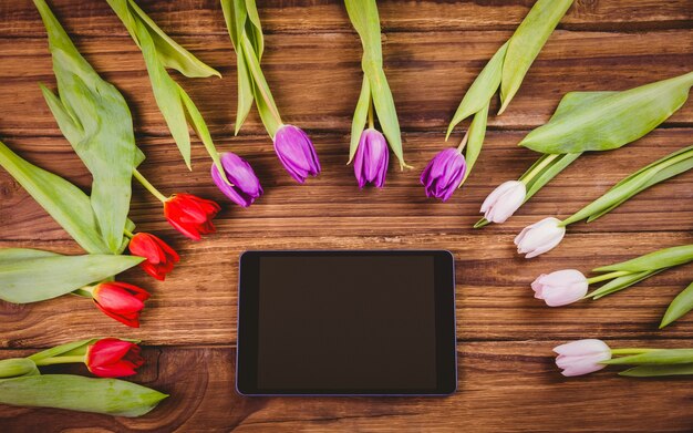 Tulpen, die Rahmen um Tablette bilden