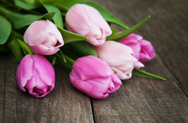 Tulpen Frühlingsblumen