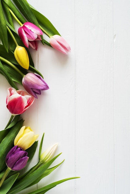 Tulpen Frühlingsblumen