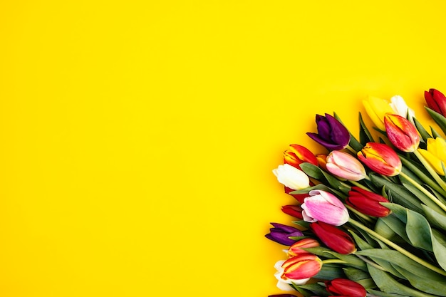 Tulpen für den internationalen Frauentag auf gelbem Hintergrund