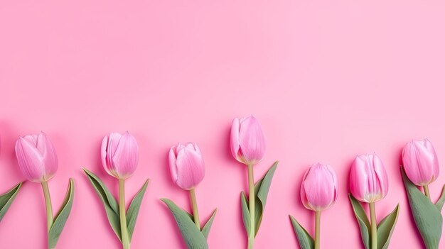 Tulpen grenzen mit Kopierbereich auf farbigem Hintergrund Schöne Rahmenkomposition von Frühlingsblumen Generative AI