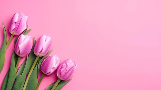 Tulpen grenzen mit Kopierbereich auf farbigem Hintergrund Schöne Rahmenkomposition von Frühlingsblumen Generative AI