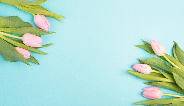 Tulpen-Grußkarte für Muttertag, Geburtstag, Osterferien, Valentinstag, Frühlingssaison