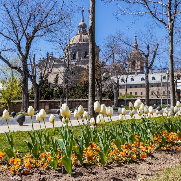 Tulpen im Garten eines Stadtparks in El Escorial in Madrid. UNESCO,