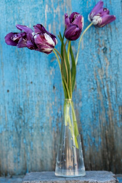 Tulpen in einer transparenten Vase