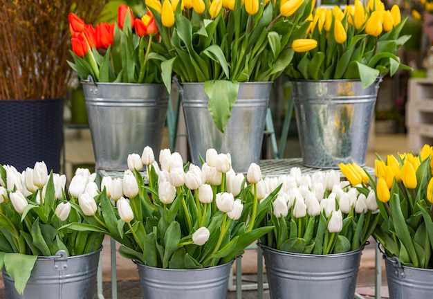 Tulpen in verschiedenen Farben in Eimern zum Verkauf in einem Blumenladen.