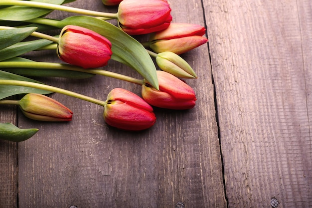 Tulpen liegen auf einem Tisch