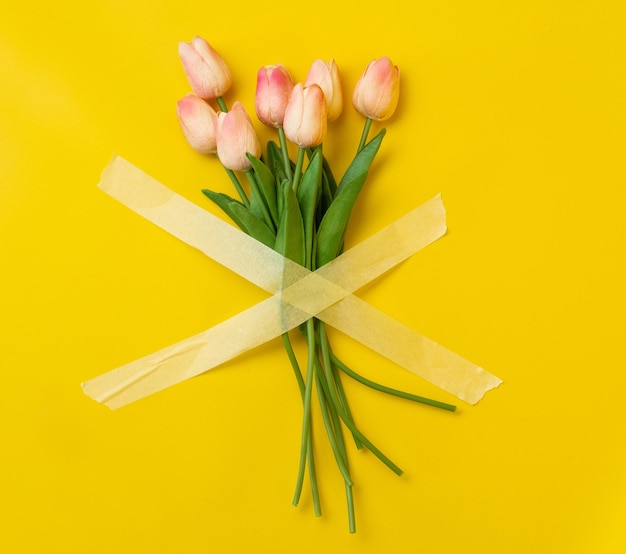 Tulpen mit Kreppband aufgeklebt