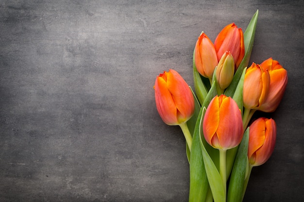 Tulpen, orange auf dem Grau