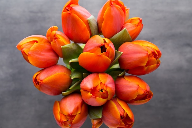 Tulpen, orange auf dem grauen Hintergrund.