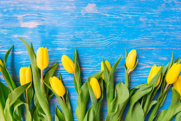 Tulpen Overhead auf blauem Hintergrund aus Holz. Platz kopieren