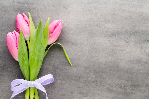 Tulpen rosa, auf dem grauen Hintergrund.