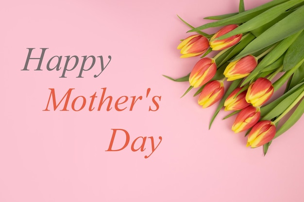 Tulpen sind gelbrot auf rosa Hintergrund und der Text HAPPY MOTHER'S DAY in Rot und Grau
