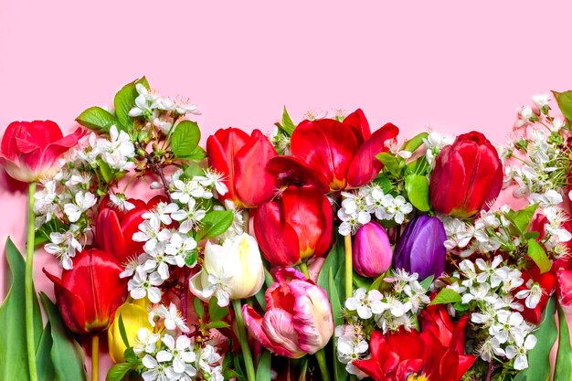 Tulpen und Kirschblütenzweige auf rosa HintergrundBlumenkartePlatz für Text
