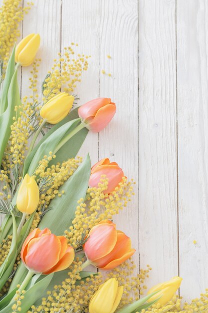 Tulpen und Mimose auf weißem hölzernem Hintergrund