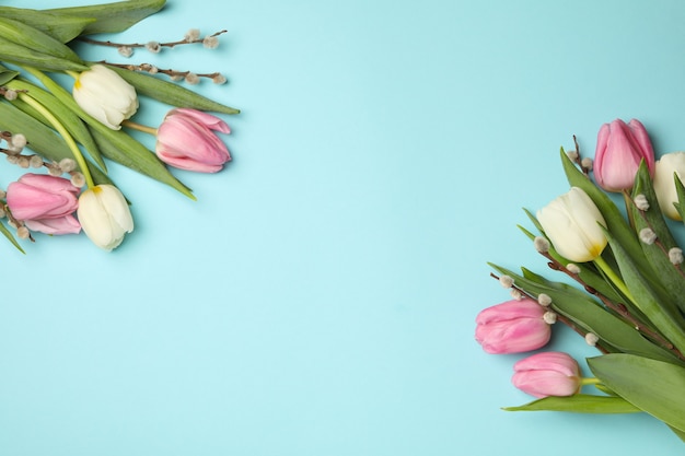 Tulpen und Weidenkätzchen auf blauem Hintergrund