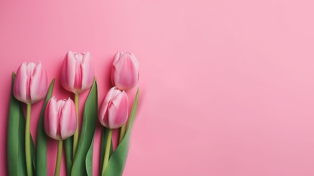 Tulpenblumen rosa Hintergrund Sommer-Minimalbanner Frühlings-Sommer-Naturkonzept Blumendesign-Element Rosa Hintergrund Hochzeitseinladungsplakat Generative KI