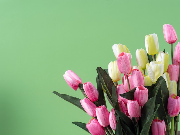 Tulpenblumenblumenstrauß auf grünem Hintergrund