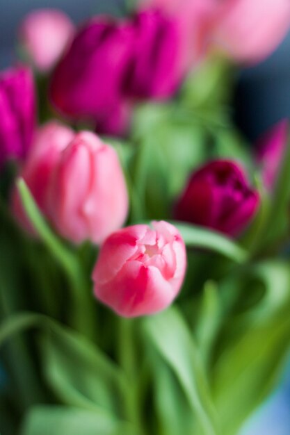 Tulpenstrauß-Hochzeitsurlaub und Blumengarten-Stilkonzept