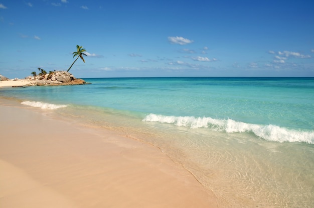 Tulum maia riviera tropical praia palmeiras