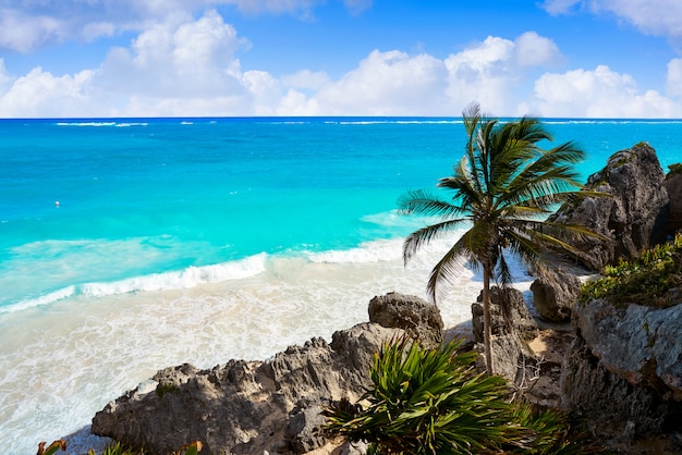 Tulum palmeira de praia turquesa em Riviera Maya em maia