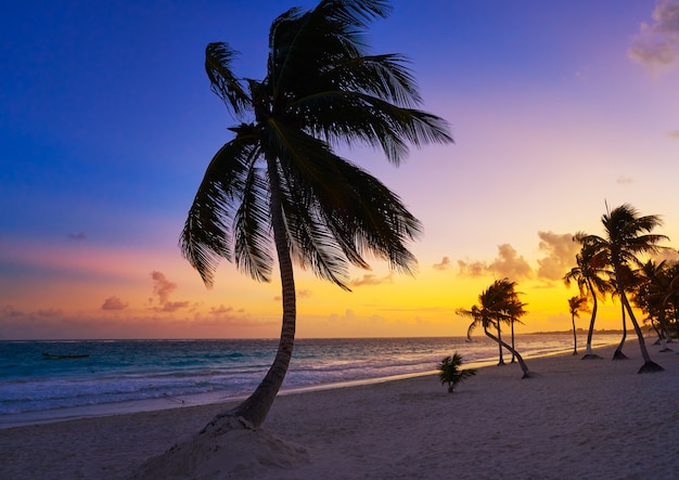 Tulum-Strandsonnenuntergang-Palme Riviera Maya