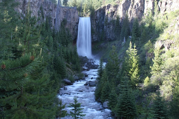 Tumalo cai Deschutes Wilderness