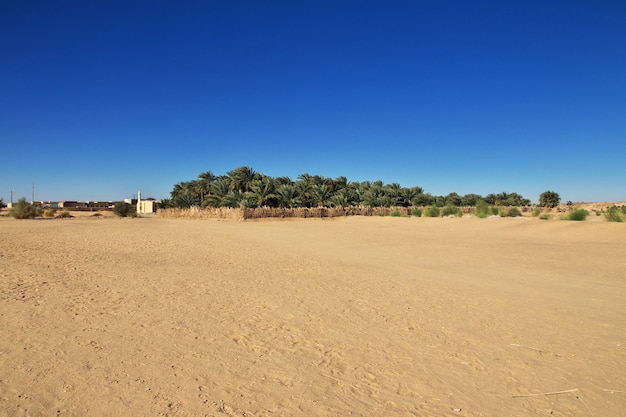 Tumba del antiguo faraón en El Kurru, Sudán