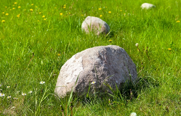 Tumbado en un campo con piedras de hierba verde utilizadas para decoración, primavera