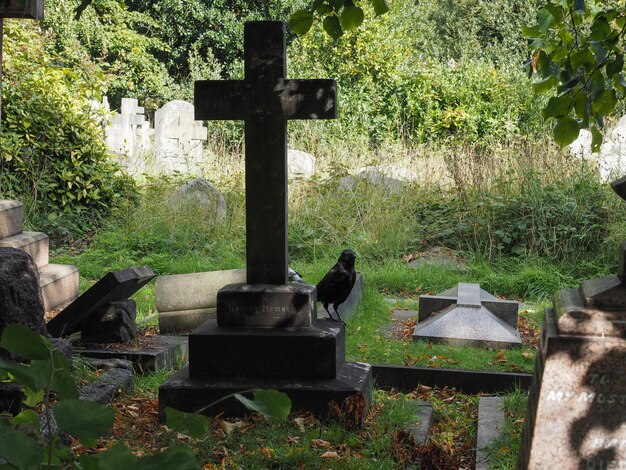 Tumbas y cruces en el cementerio gótico