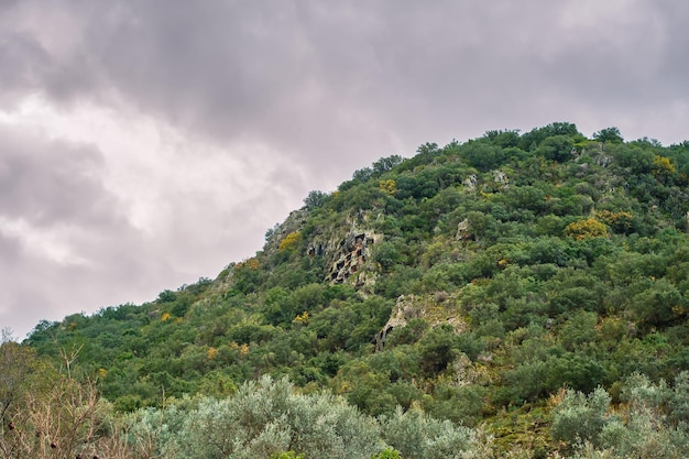 Tumbas de roca licia en Fethiye Turquía en las laderas de una montaña con olivares