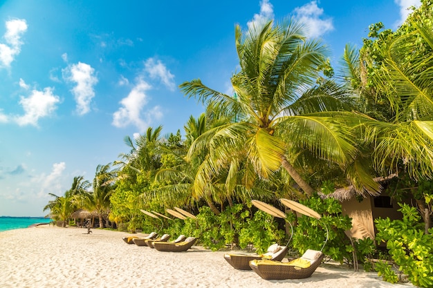 Tumbona en una playa tropical en las Maldivas