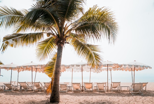Tumbonas y sombrillas con palmeras en la playa tropical Playa en Tailandia Asia y sombrillas en la playa