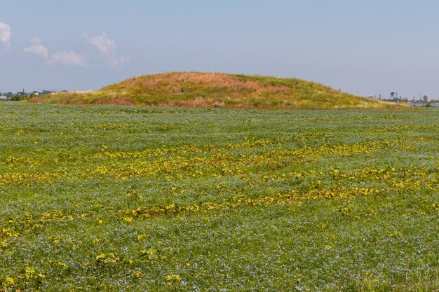 Túmulo cita em um campo no sul da Ucrânia
