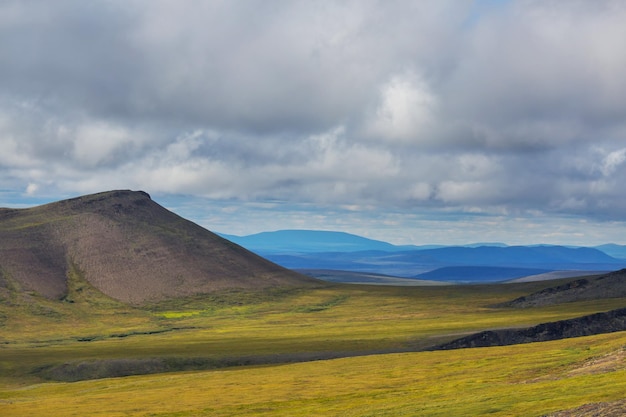 Tundra en Canadá