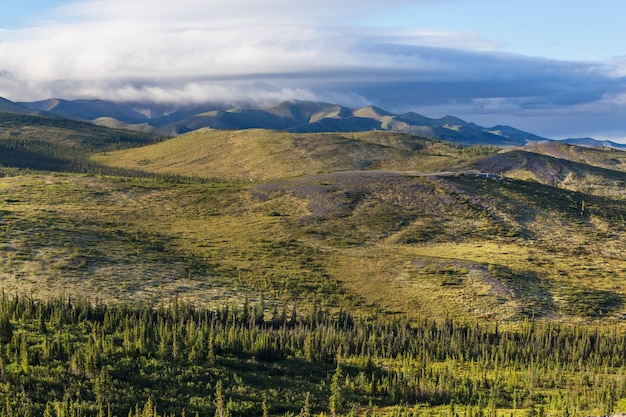 Tundra en Canadá