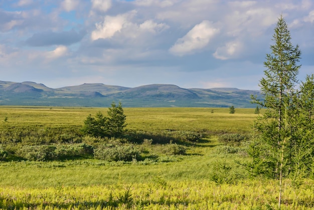 tundra estribaciones