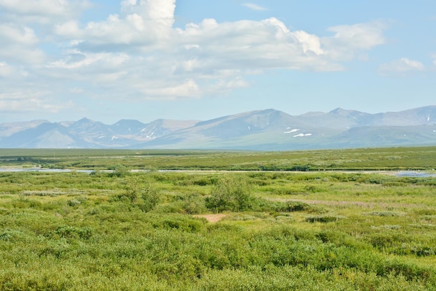 Tundra im Polar-Ural und im Haupt-Ural-Gebirge