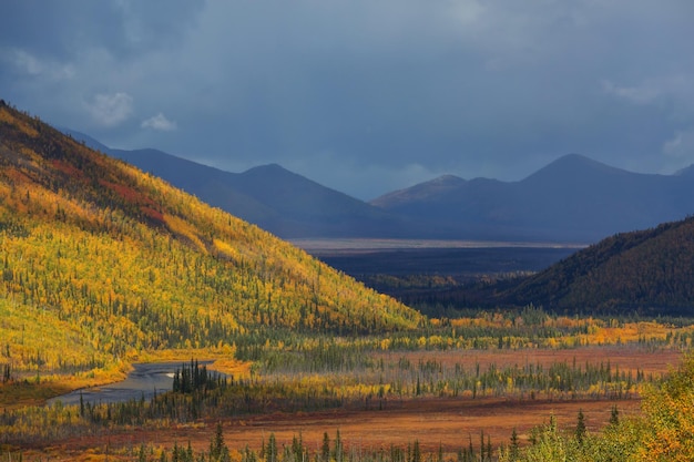 Tundra-Landschaften über dem Polarkreis in der Herbstsaison. Schöner natürlicher Hintergrund