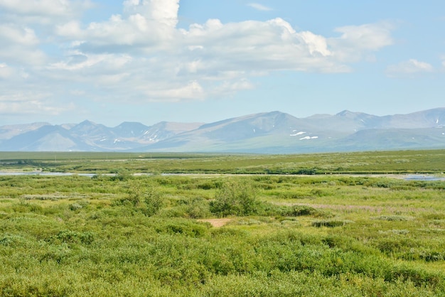 Tundra en los Urales Polares y la Cordillera de los Urales Principales