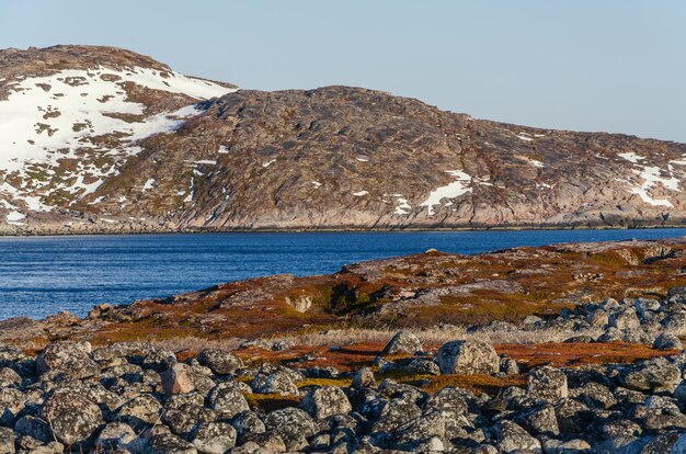 Tundralandschaft in Barentssee in Teriberka, Murmansk.