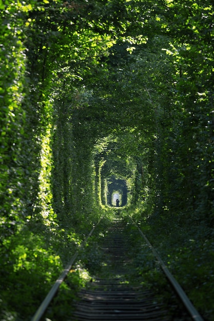 Túnel del amor en Ucrania