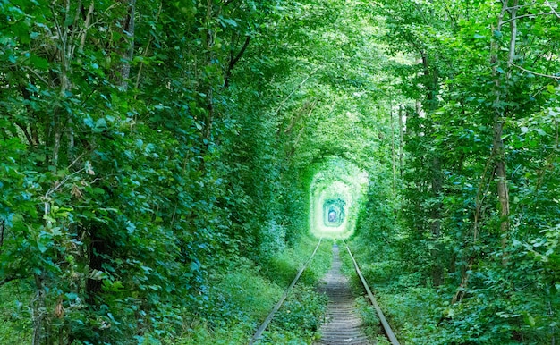 El túnel del amor