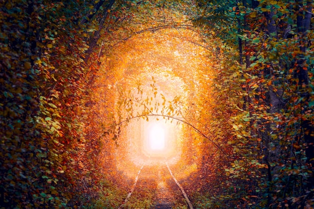 El túnel de los árboles mágicos de otoño con el viejo ferrocarril El túnel del amor El túnel natural del amor formado por árboles Rael paisaje de otoño de Ucrania