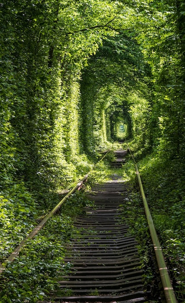 Foto túnel da estrada de ferro do amor na floresta perto de klevan ucrânia