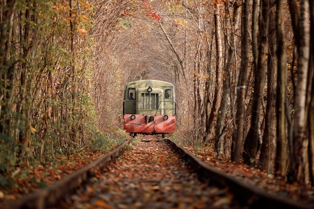 Foto túnel de amor no outono uma ferrovia na floresta de outono túnel de amor árvores de outono e a ferrovia